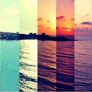 Meet your Posher, Alicia